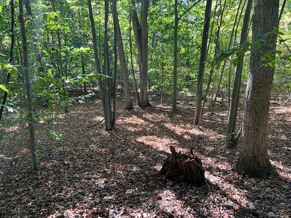 0.37 Acres of Residential Land for Sale in Allegan, Michigan