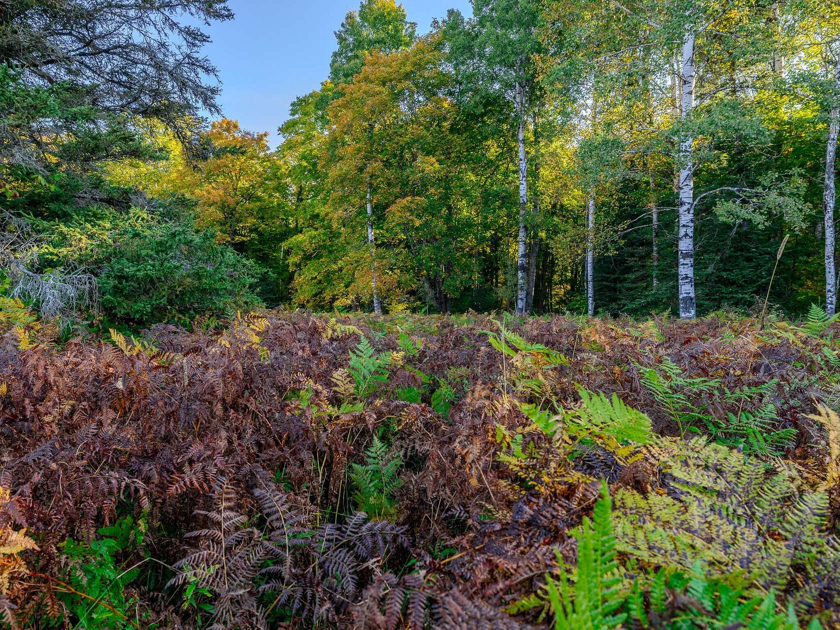 10 Acres of Land for Sale in Pickford, Michigan