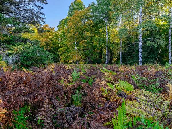 10 Acres of Land for Sale in Pickford, Michigan