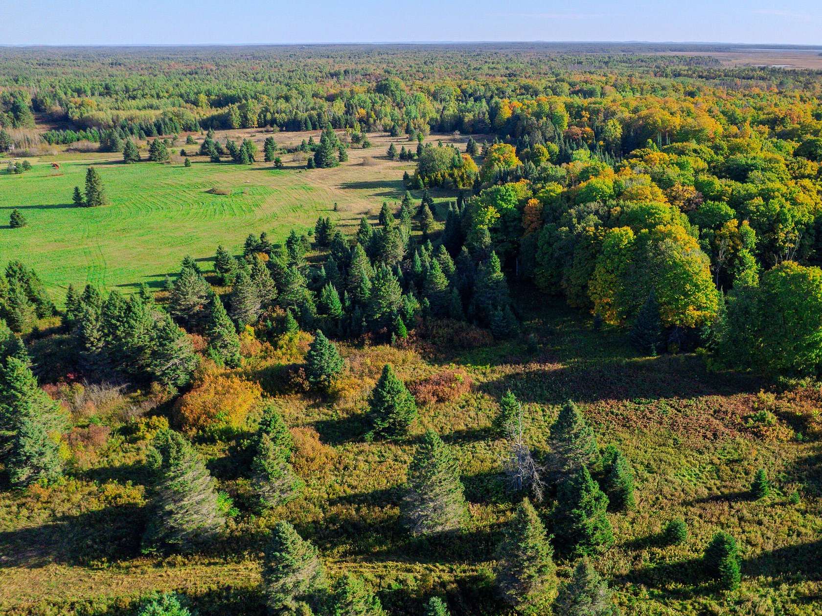 10 Acres of Land for Sale in Pickford, Michigan