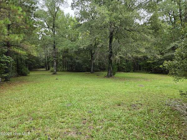 12.2 Acres of Recreational Land for Sale in Beaufort Township, North Carolina