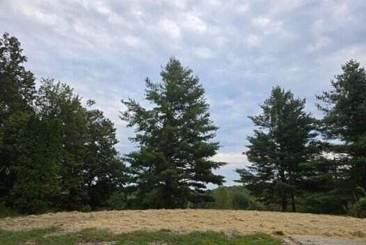 1 Acre of Land for Auction in Beattyville, Kentucky