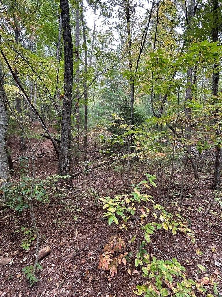 1.13 Acres of Residential Land for Sale in Murphy, North Carolina