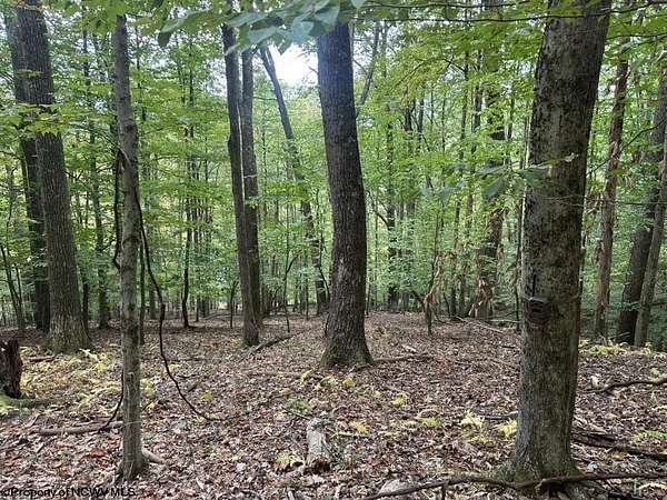 11.2 Acres of Land for Sale in Elkins, West Virginia