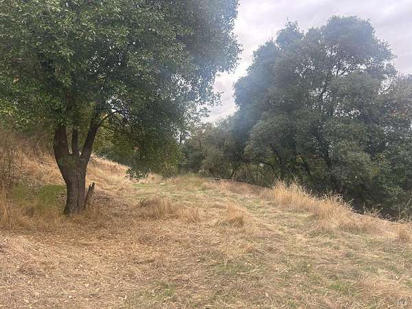 1.61 Acres of Residential Land for Sale in Ukiah, California