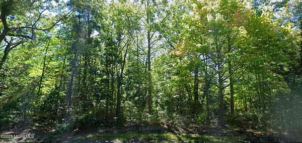 8.1 Acres of Land for Sale in Villas, New Jersey