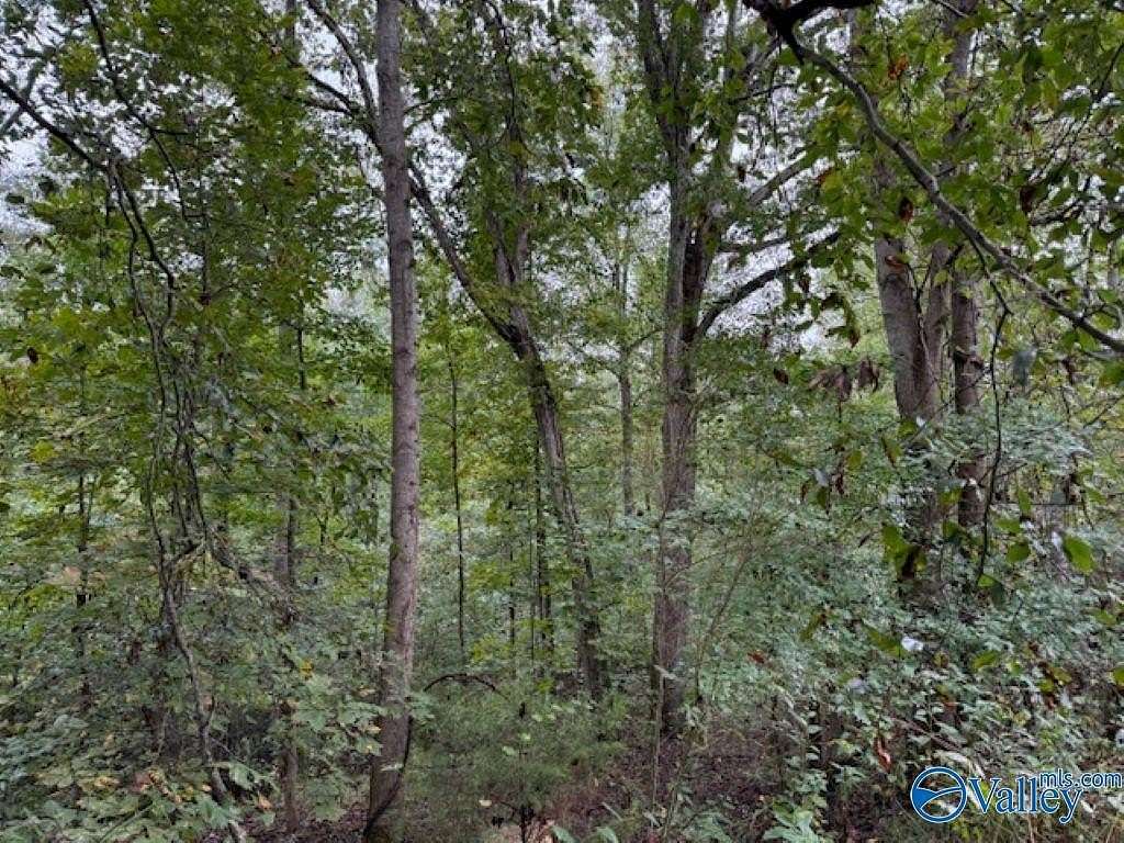 19.3 Acres of Recreational & Residential Land for Sale in Danville, Alabama