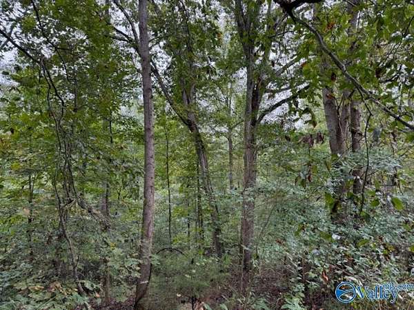 19.3 Acres of Recreational Land for Sale in Danville, Alabama