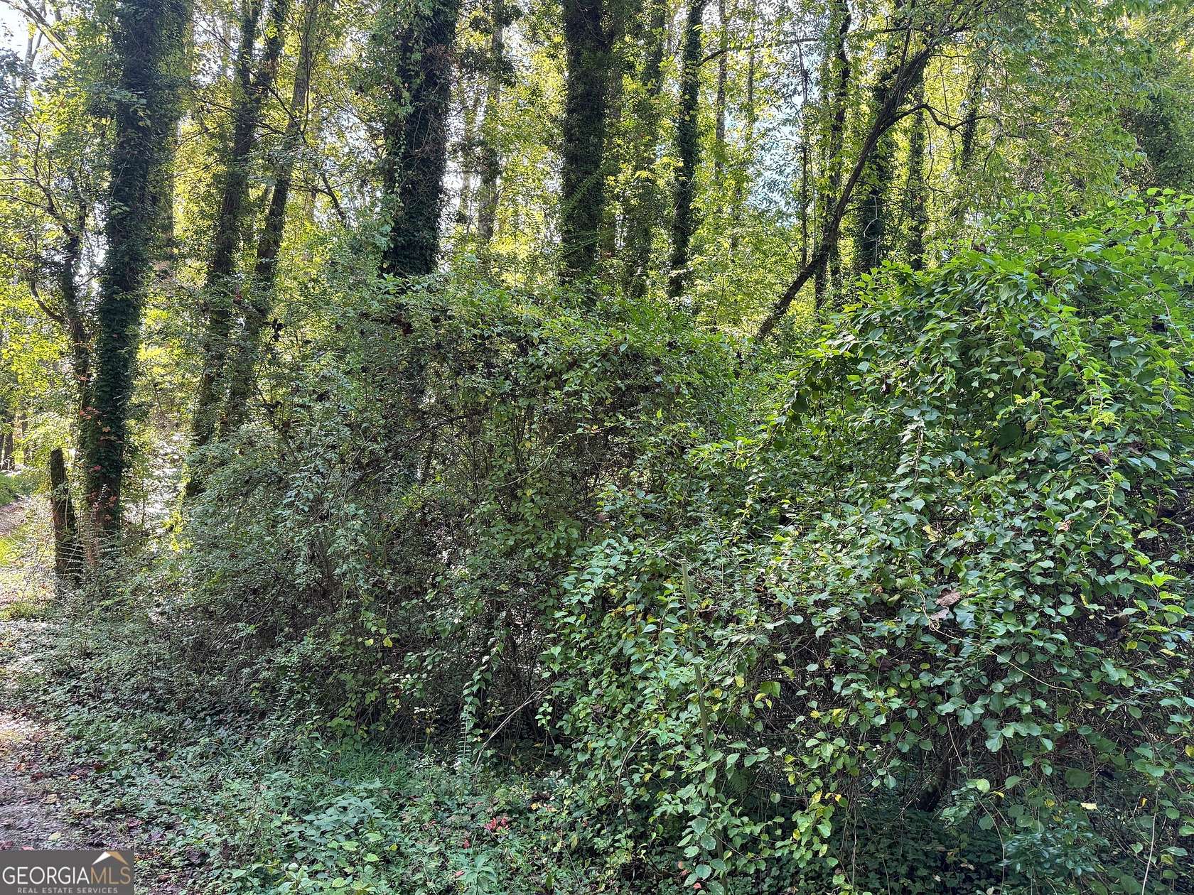 0.32 Acres of Residential Land for Sale in Clayton, Georgia