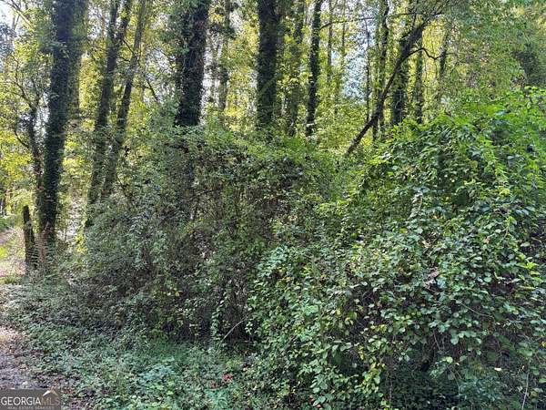 0.32 Acres of Residential Land for Sale in Clayton, Georgia