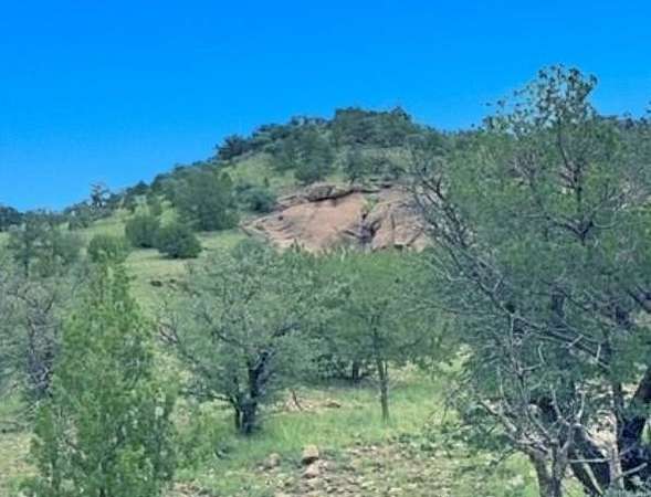23 Acres of Recreational Land for Sale in Fort Davis, Texas