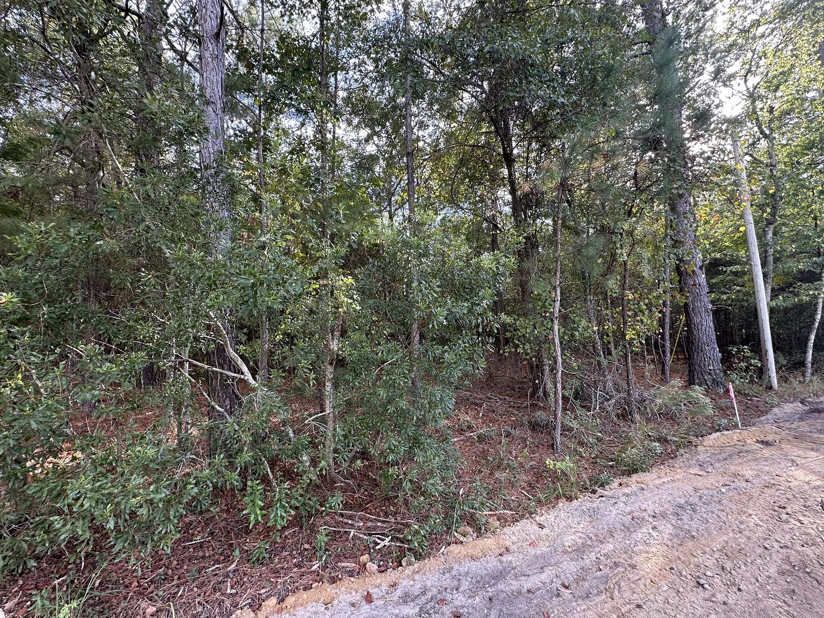 1.35 Acres of Residential Land for Sale in Summerton, South Carolina