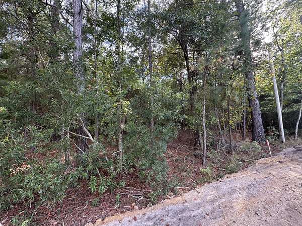 1.35 Acres of Residential Land for Sale in Summerton, South Carolina