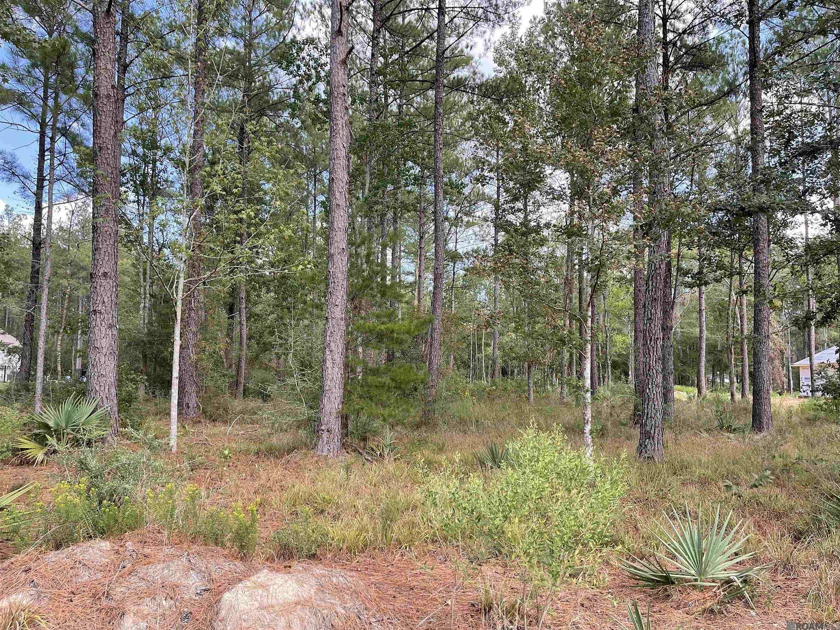 2 Acres of Residential Land for Sale in Livingston, Louisiana