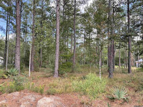 2 Acres of Residential Land for Sale in Livingston, Louisiana