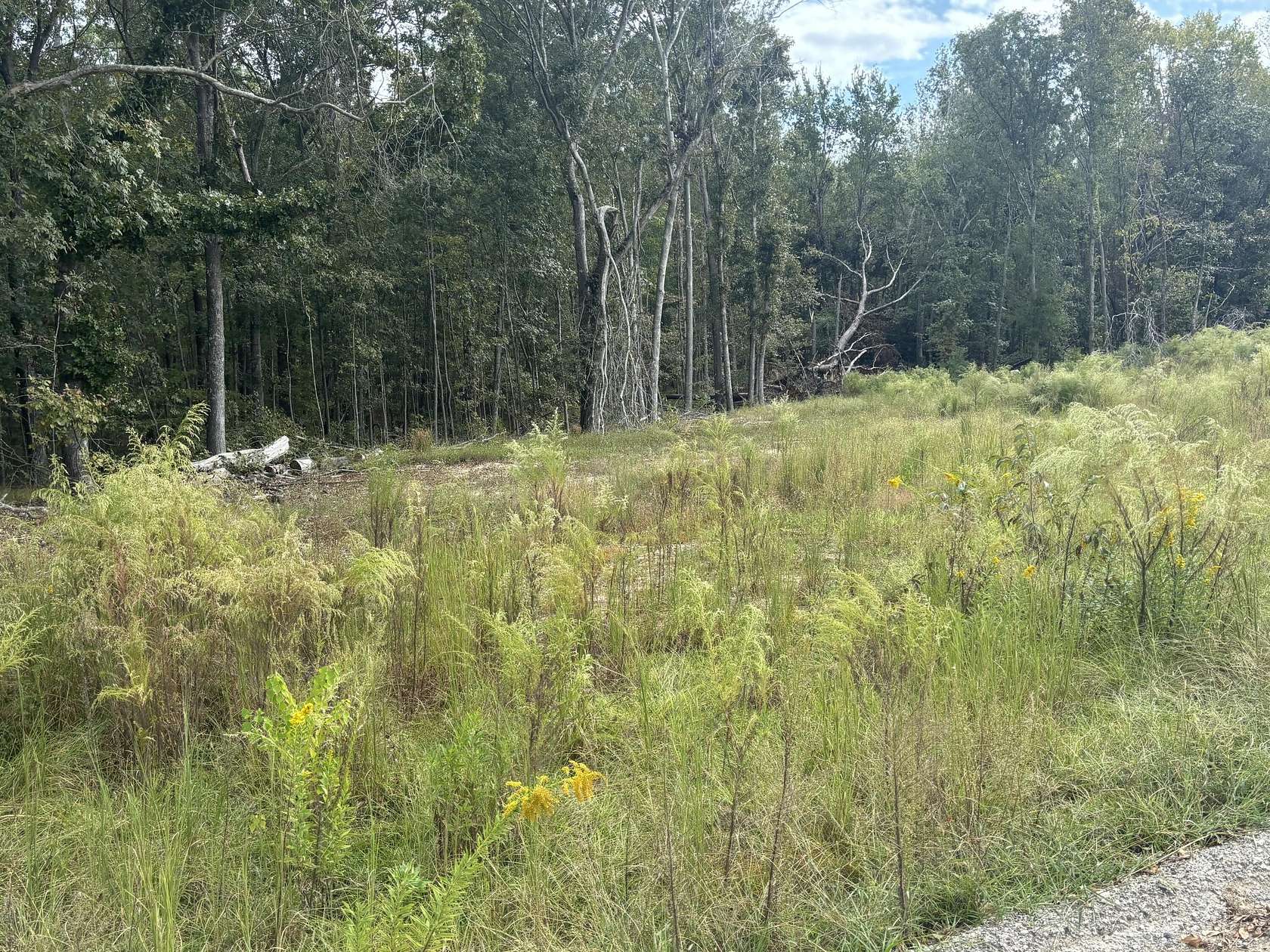 2.7 Acres of Residential Land for Sale in Summerton, South Carolina