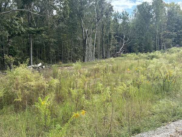 2.7 Acres of Residential Land for Sale in Summerton, South Carolina