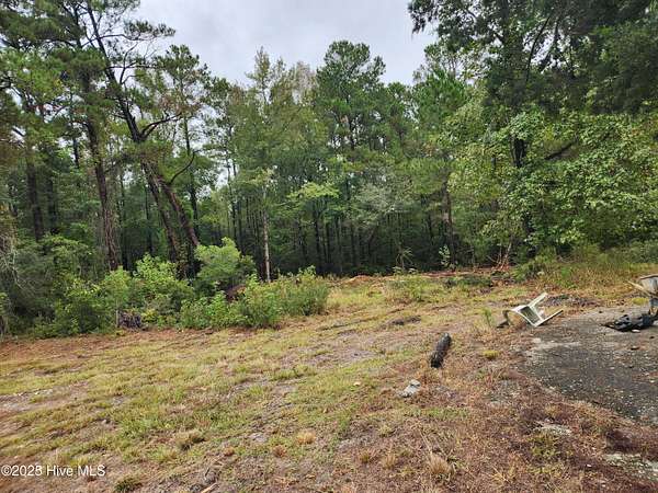 0.46 Acres of Residential Land for Sale in Currie, North Carolina