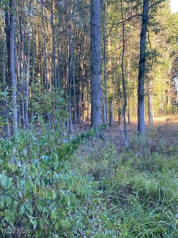 0.49 Acres of Residential Land for Sale in Lake Milton, Ohio