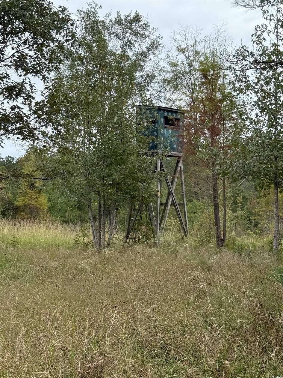 65 Acres of Recreational Land for Sale in Centenary, South Carolina