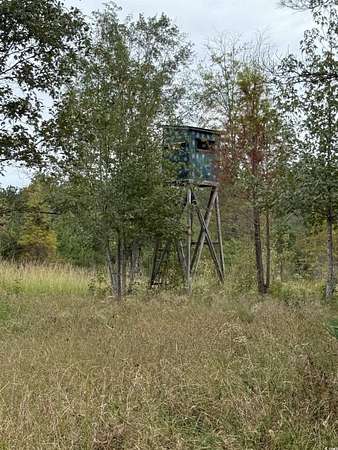 65 Acres of Recreational Land for Sale in Centenary, South Carolina