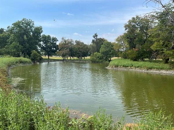 59.3 Acres of Land for Sale in Leonard, Texas