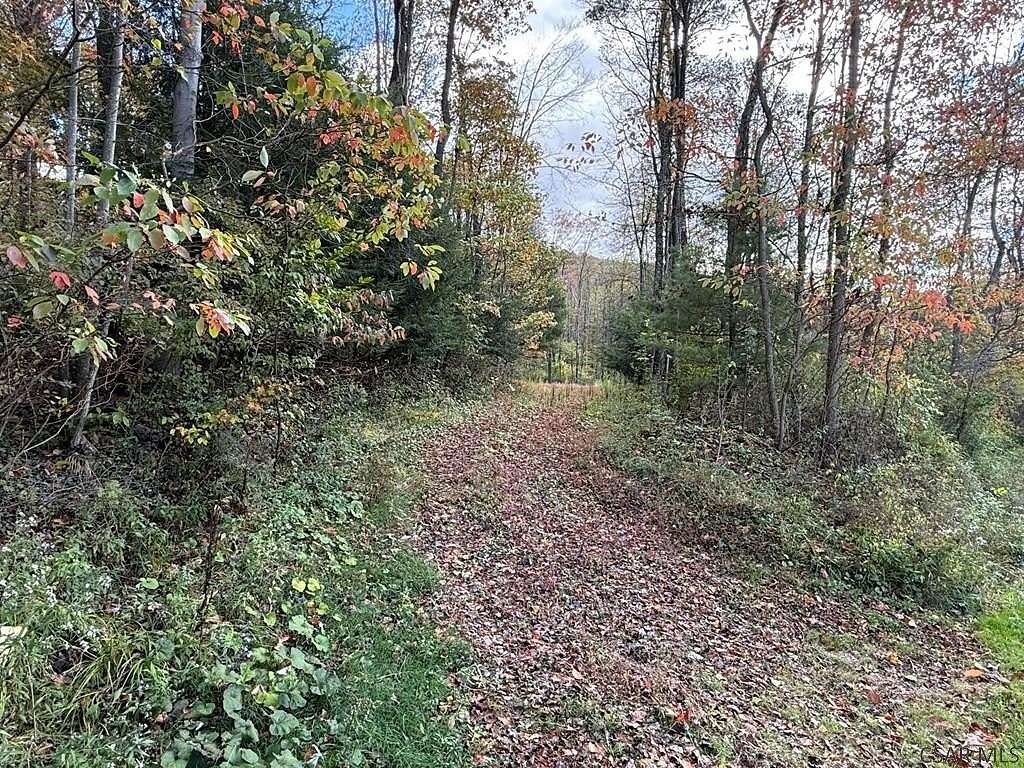 1.68 Acres of Residential Land for Sale in Johnstown, Pennsylvania