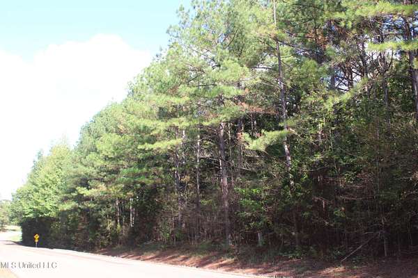 1.87 Acres of Residential Land for Sale in Byhalia, Mississippi