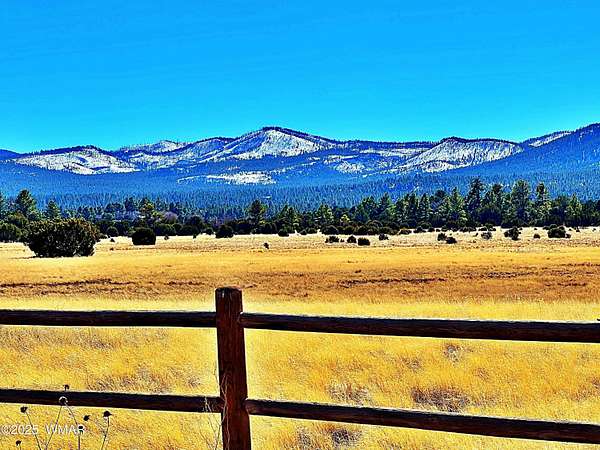 18 Acres of Land for Sale in Vernon, Arizona