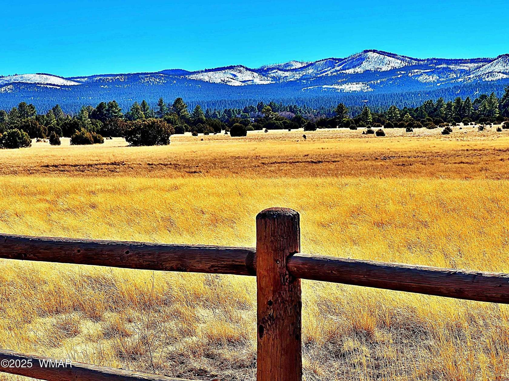 28 Acres of Recreational Land for Sale in Vernon, Arizona