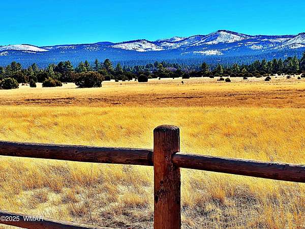 28 Acres of Recreational Land for Sale in Vernon, Arizona