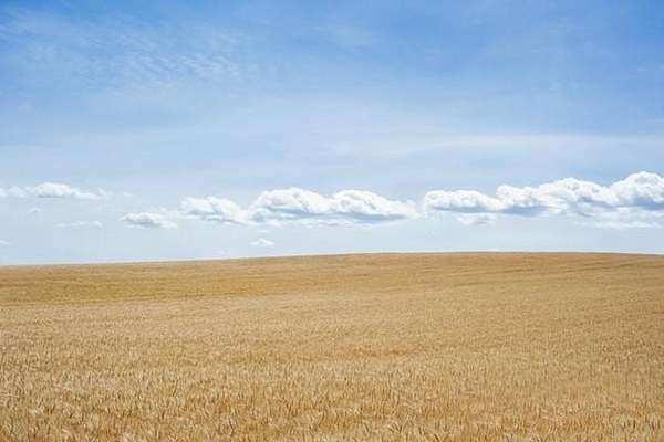 121 Acres of Land for Sale in Imperial, California
