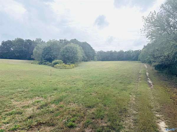 9.2 Acres of Residential Land for Sale in Arab, Alabama