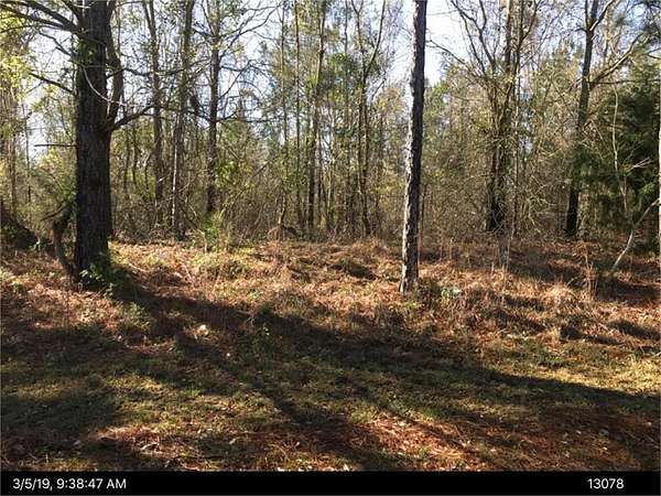 14.3 Acres of Land for Sale in Cordele, Georgia