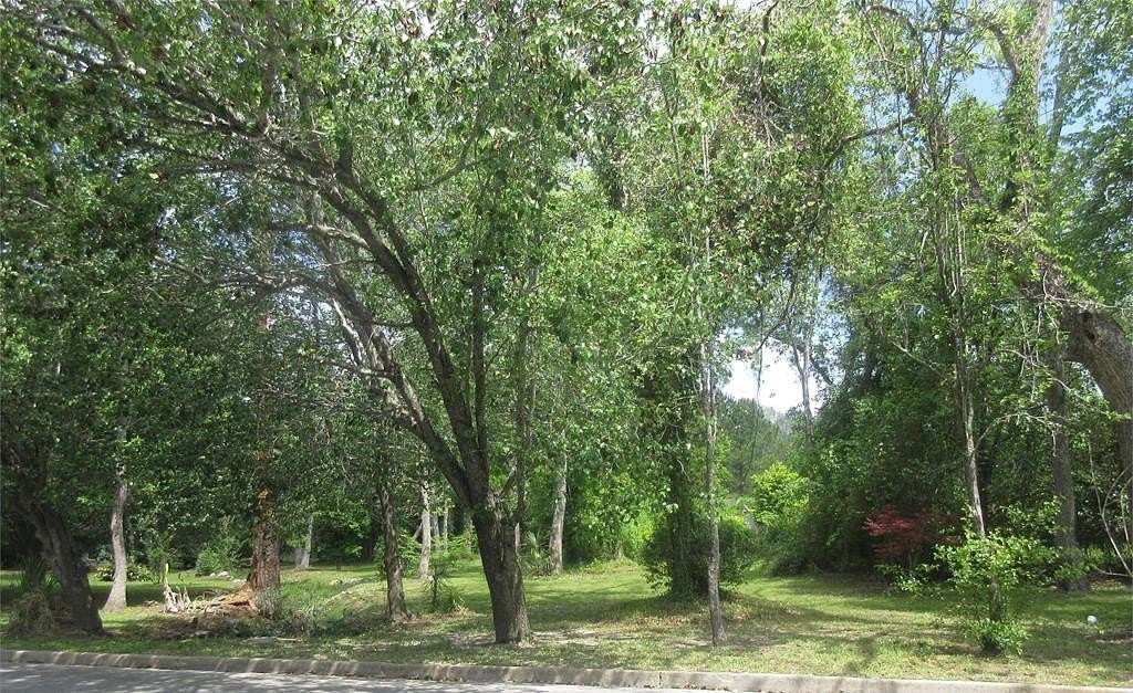 0.37 Acres of Residential Land for Sale in Thomasville, Georgia