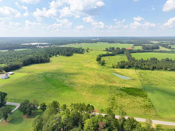 22 Acres of Land for Sale in Greenville, Alabama