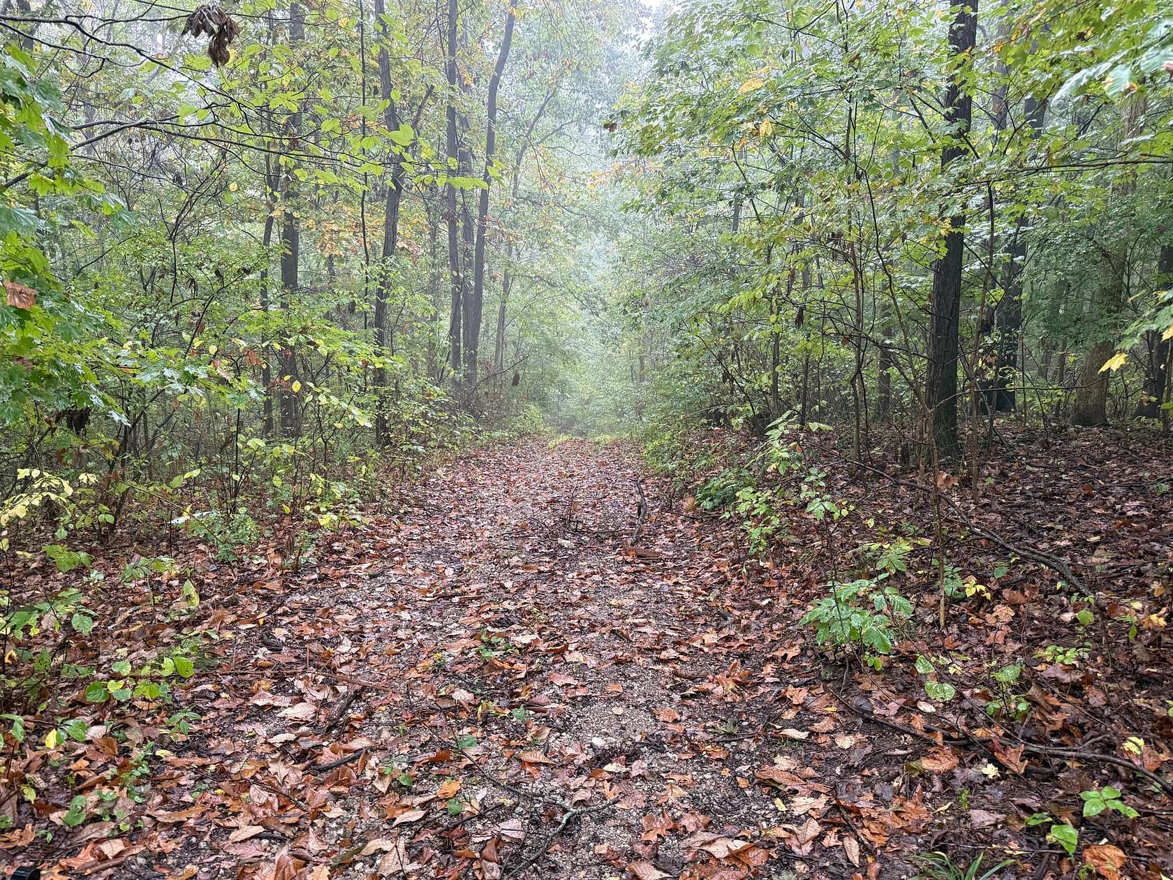 5.58 Acres of Residential Land with Home for Sale in Gosport, Indiana