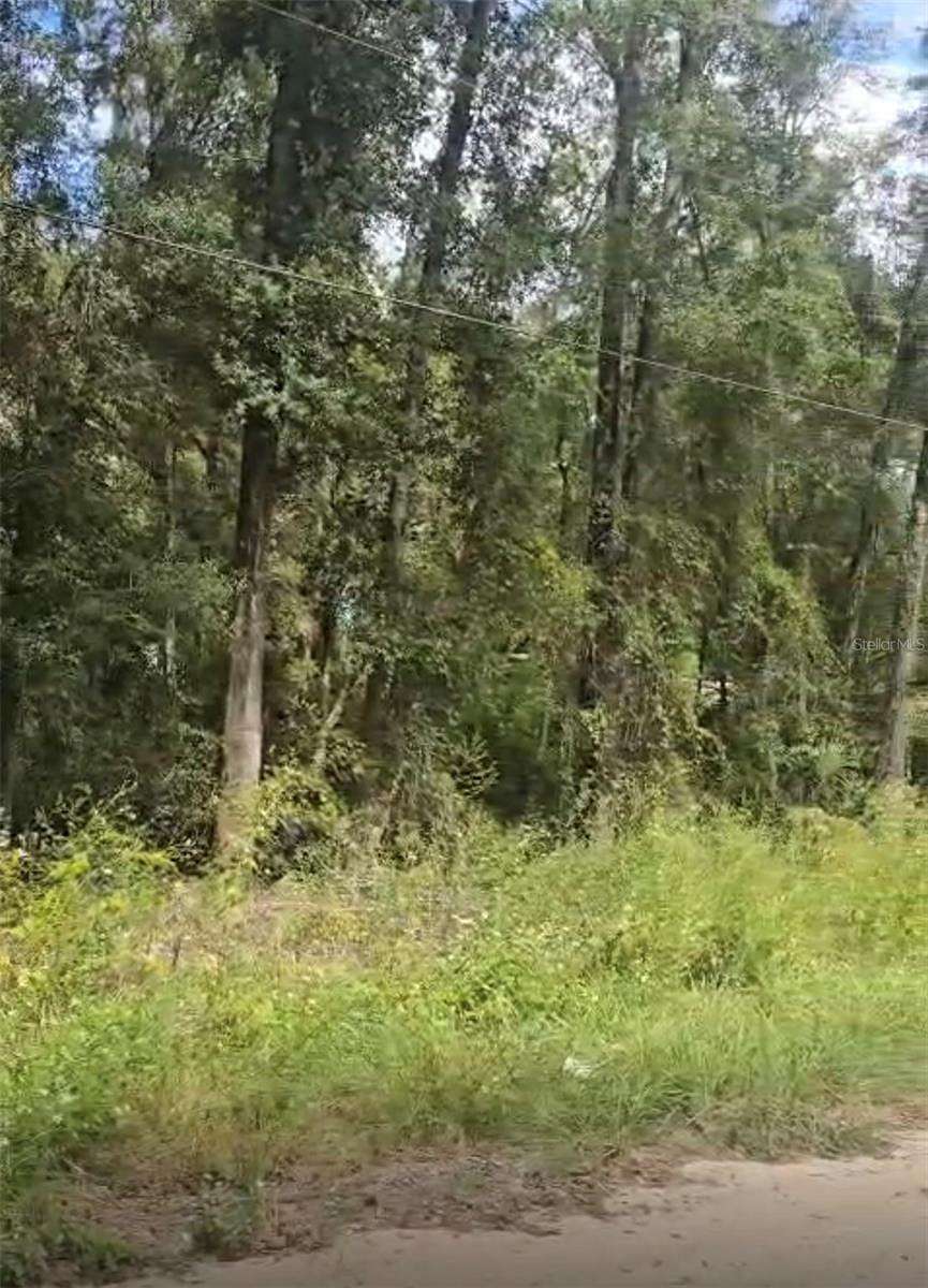 0.92 Acres of Residential Land for Sale in Dunnellon, Florida