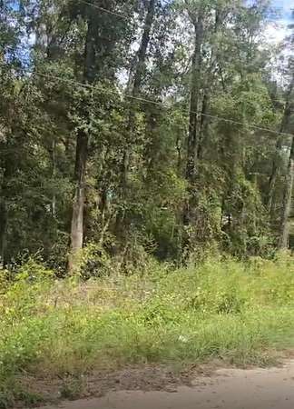 0.92 Acres of Residential Land for Sale in Dunnellon, Florida