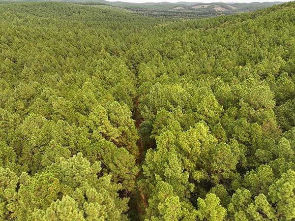 100 Acres of Recreational Land for Sale in Paron, Arkansas