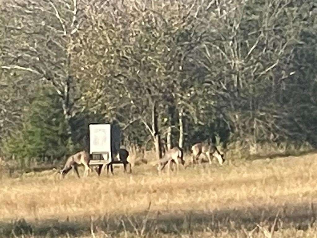 49.5 Acres of Recreational Land & Farm for Sale in Cooper, Texas