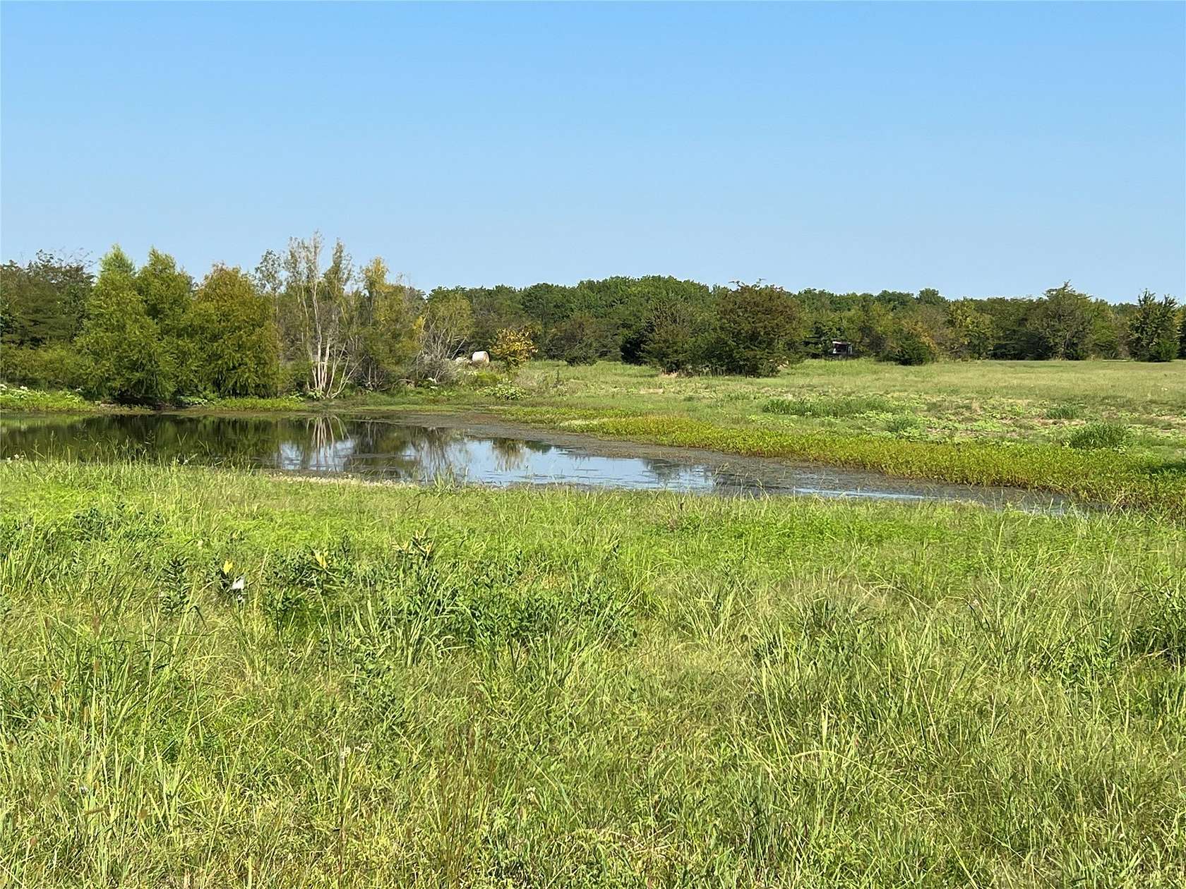 49.5 Acres of Land for Sale in Cooper, Texas