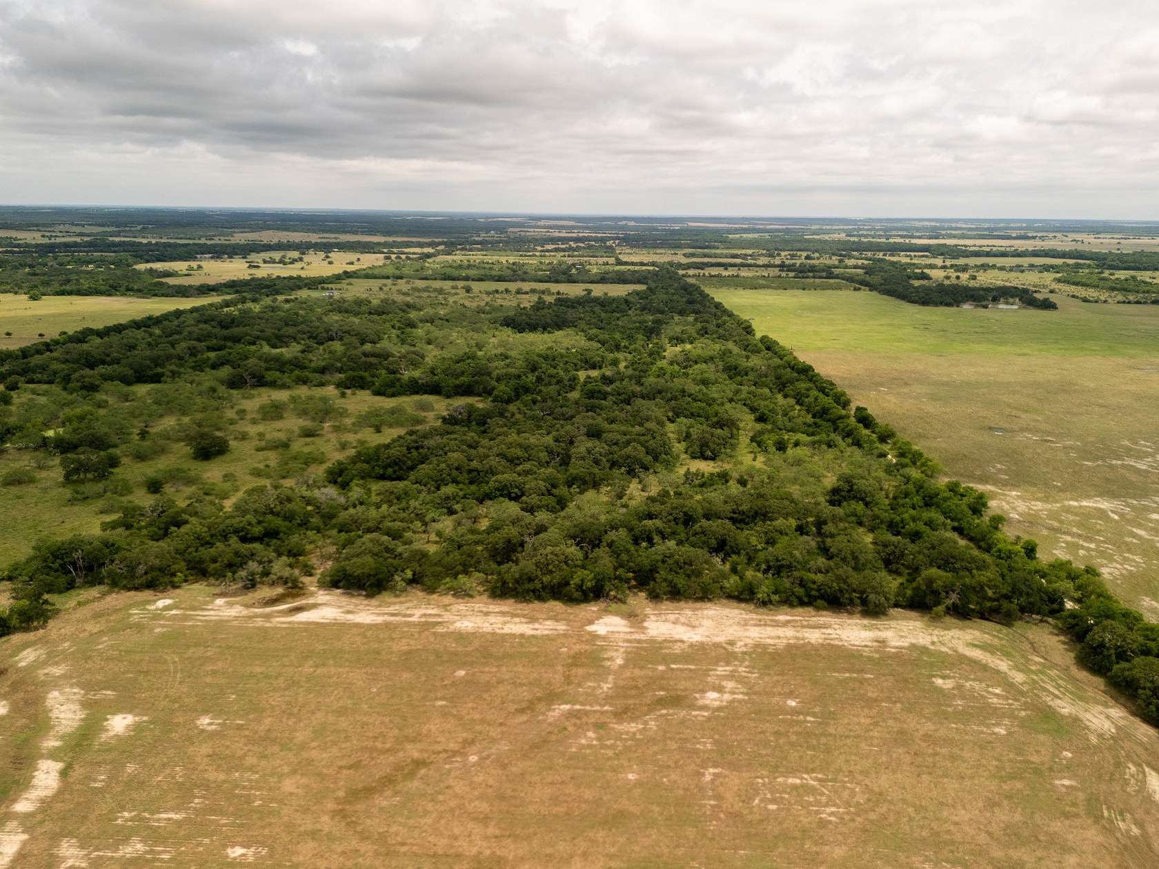 12.5 Acres of Agricultural Land for Sale in Riesel, Texas