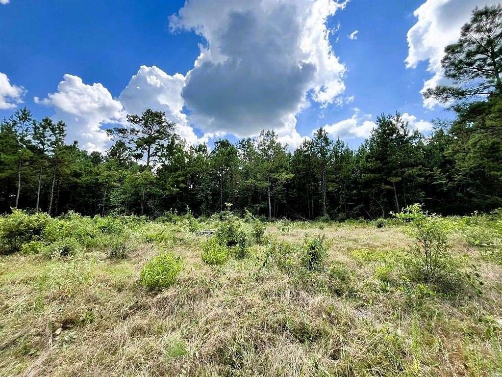 4.77 Acres of Residential Land for Sale in Newton, Texas