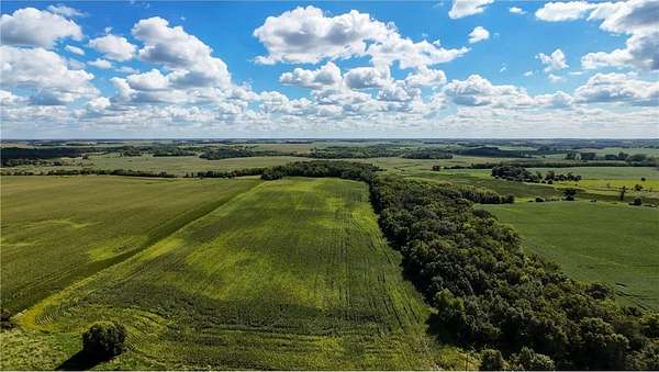 40 Acres of Recreational Land & Farm for Sale in Morristown, Minnesota