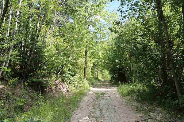 30 Acres of Recreational Land for Sale in Chattaroy, Washington