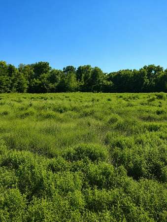 10.4 Acres of Land for Sale in Sulphur Springs, Texas