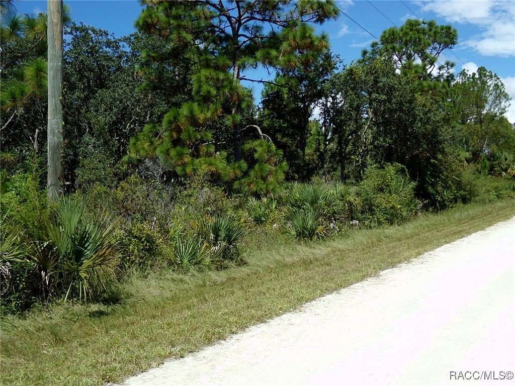 1.16 Acres of Residential Land for Sale in Weeki Wachee, Florida