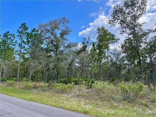0.23 Acres of Residential Land for Sale in Citrus Springs, Florida