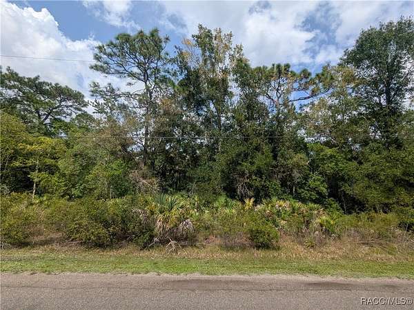 1 Acre of Residential Land for Sale in Crystal River, Florida